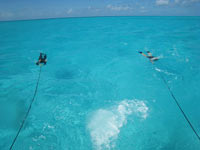 Towing for shipwrecks