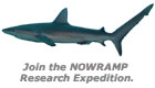 Click here to join the NOWRAMP Research Expedition