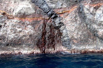 Freshwater seep on Nihoa