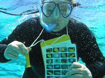 Teacher Dena Deck gets familiar with the species found in the Hawaiian Archipelago.  Photo: Hans Van Tilburg/NOAA