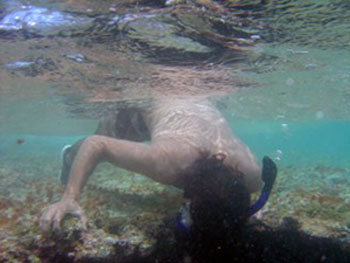 Paulo checking the shark hole, head first in the Hawaiian Islands National Wildlife Refuge.  Photo: Ellyn Tong