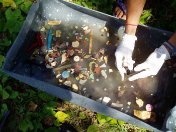 Rinsing 306 pieces of plastic debris from the albatross chick.  Photo: Claire Johnson/NOAA