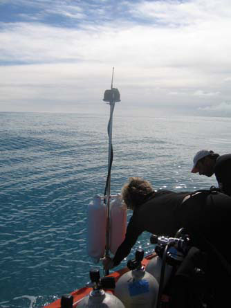 Steve Karl and Jenny Schultz deploy GIBS unit at French Frigate Shoals