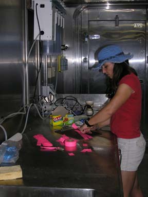 Preparing numbered tags for coral specimens