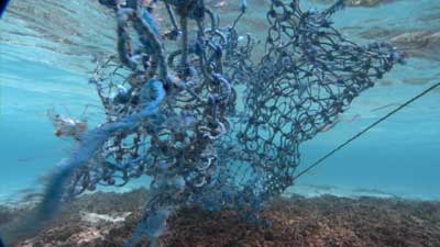 Photo of a net drifting across coral.