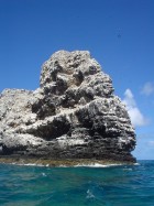 Guano-covered La Perouse Pinnacle