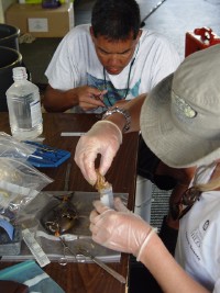 Randy and Darla taking fish samples