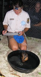 John Klavitter with clipboard and duck in container (photo by Susan Middleton)