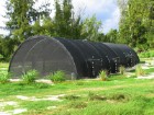 Quonset Cage for Laysan Duck on Midway (photo by Susan Middleton)