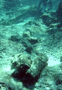 Large timbers with diver in background