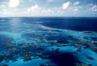 Photo of Pearl and Hermes Reef. USFWS