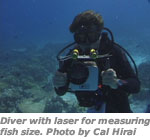 Diver with laser for measuring fish size.  Photo by Cal Hirai