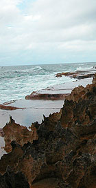 Laysan Intertidal area.