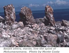 Basalt alters, marae, line the spine of Mokumanamana.  Photo by Monte Costa.