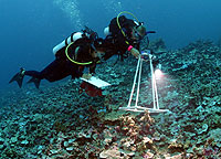 Limnologists at work.