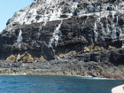 cliffs with guano