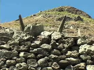 Bird on Mokumanumanu Rock: Follow image link for video report